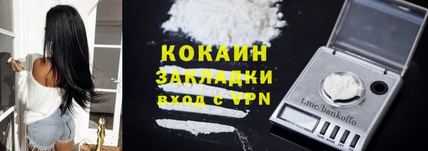 ПСИЛОЦИБИНОВЫЕ ГРИБЫ Арсеньев