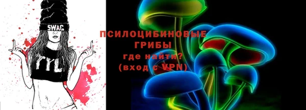ПСИЛОЦИБИНОВЫЕ ГРИБЫ Арсеньев