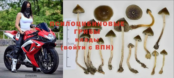 дмт Аркадак