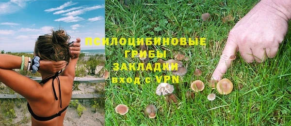 дмт Аркадак