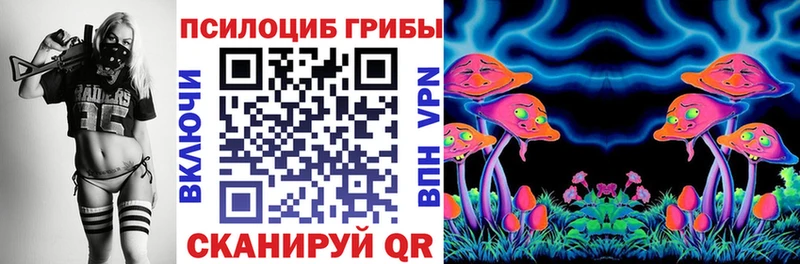 Псилоцибиновые грибы MAGIC MUSHROOMS МЕГА как войти Дзержинск
